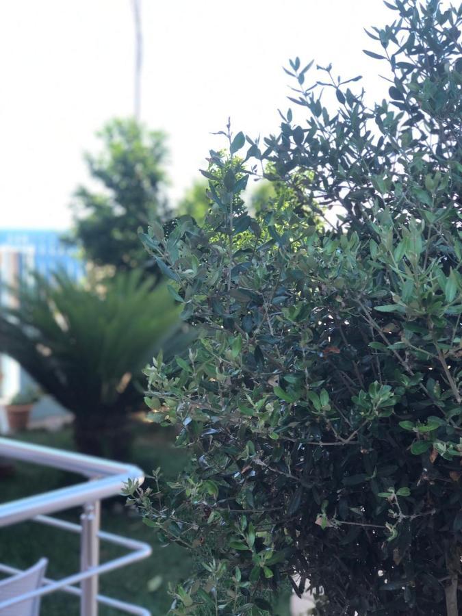 Sunset Apartments Berdenesh Sarandë 外观 照片